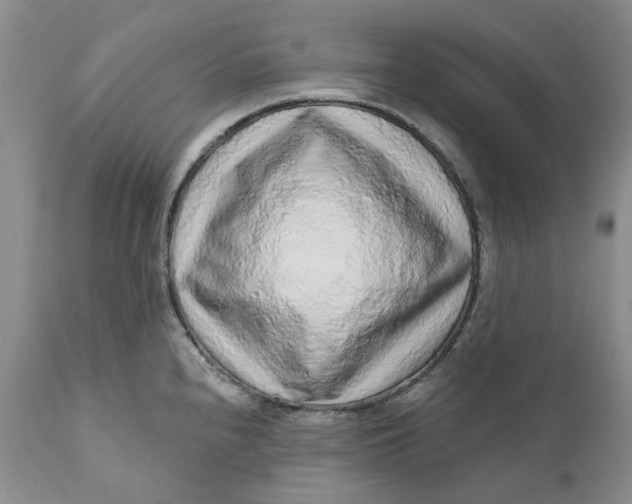 X0000112161240200908281356