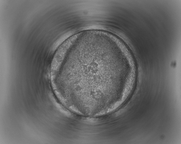 X0000112161241200908281356