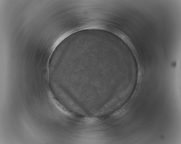 X0000112161242200908281356