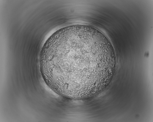 X0000112161243200908281356