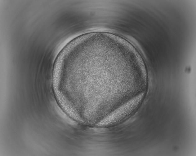 X0000112161244200908281356