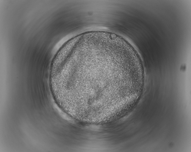 X0000112161245200908281356