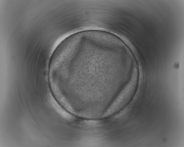 X0000112161246200908281356