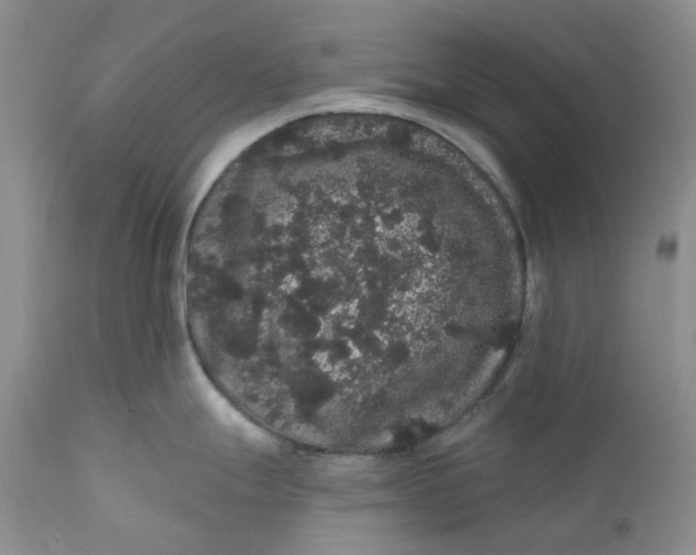 X0000112161247200908281356