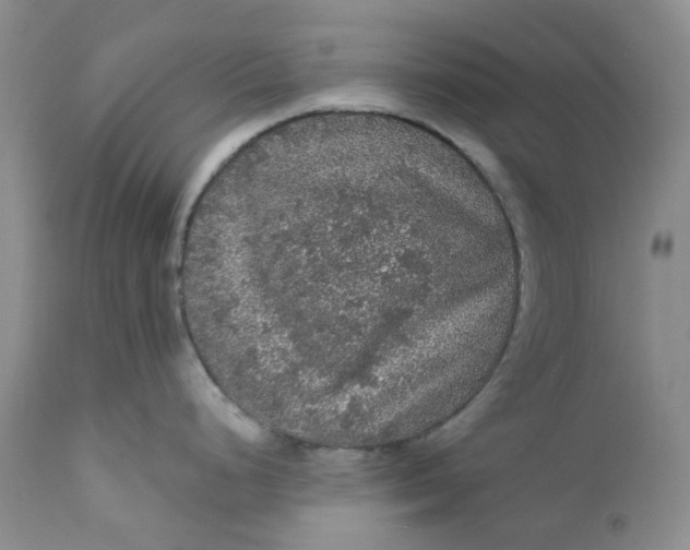 X0000112161248200908281356