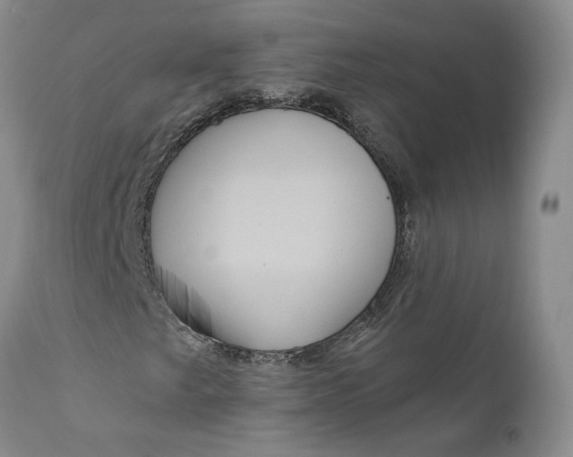 X0000112161249200908281356