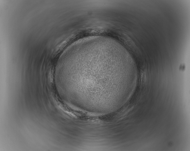 X0000112161250200908281356