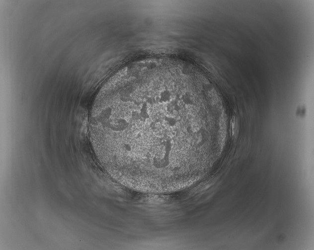 X0000112161251200908281356