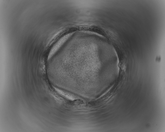 X0000112161252200908281356