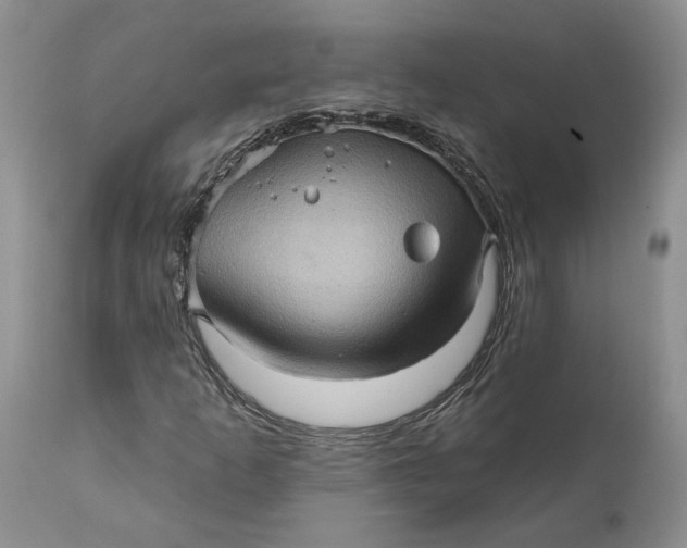 X0000112161253200908281356