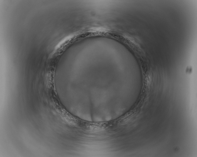 X0000112161254200908281356