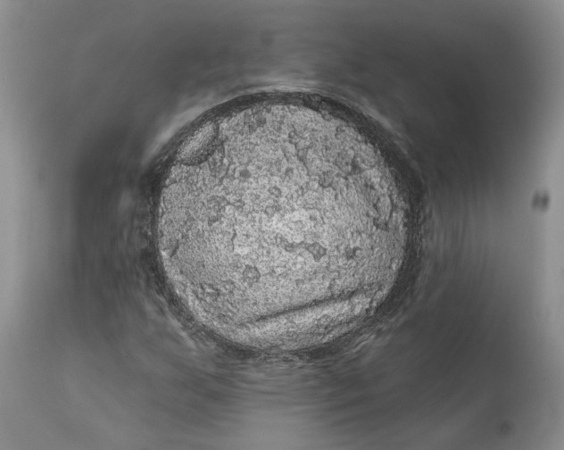 X0000112161255200908281356