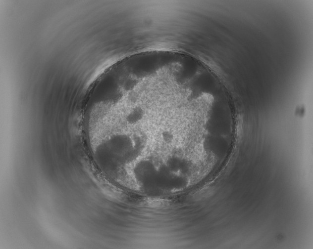 X0000112161258200908281355