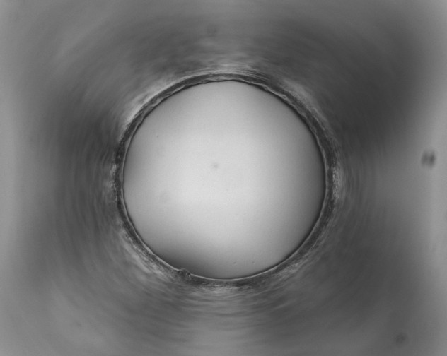 X0000112161260200908281355