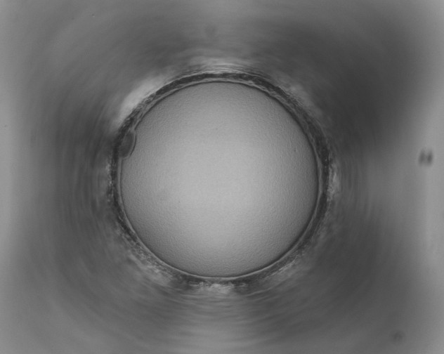 X0000112161261200908281355