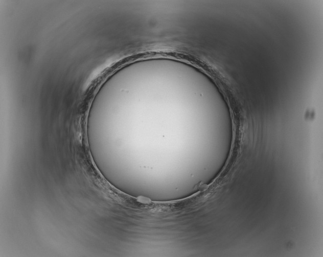 X0000112161262200908281355