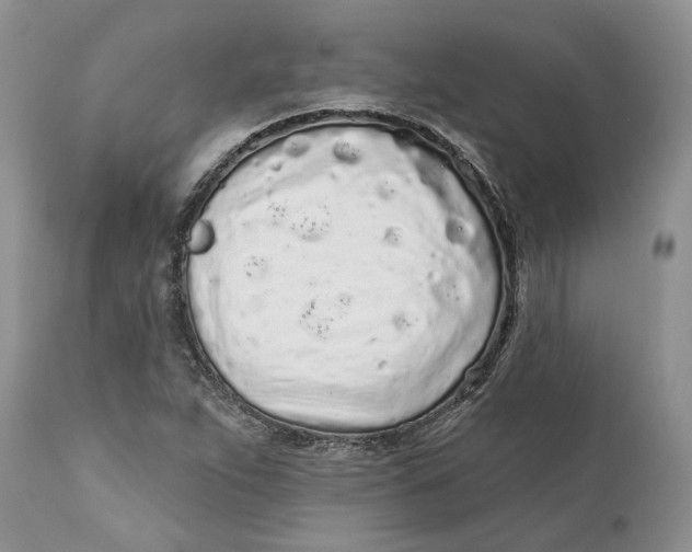 X0000112161263200908281355