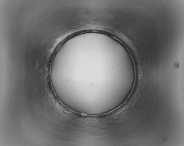 X0000112161264200908281355