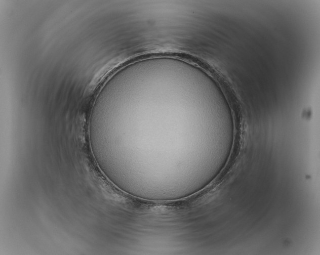 X0000112161265200908281355