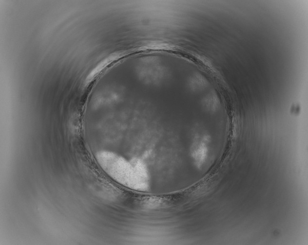 X0000112161266200908281355