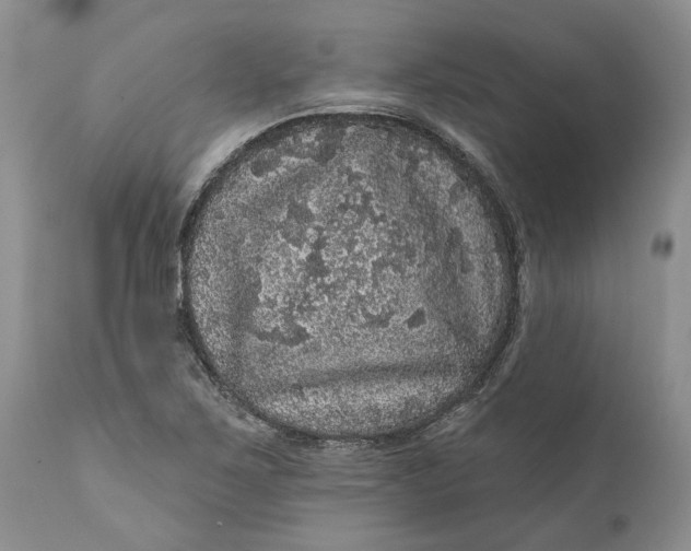 X0000112161267200908281355