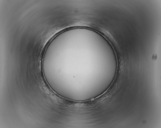 X0000112161268200908281355