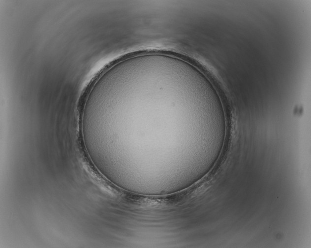 X0000112161270200908281355