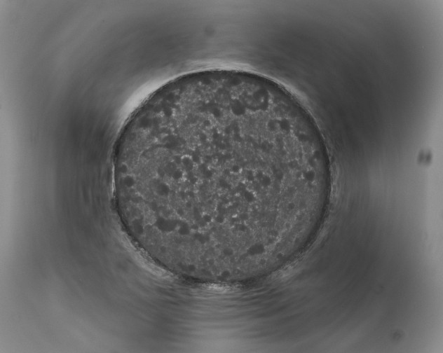 X0000112161271200908281355