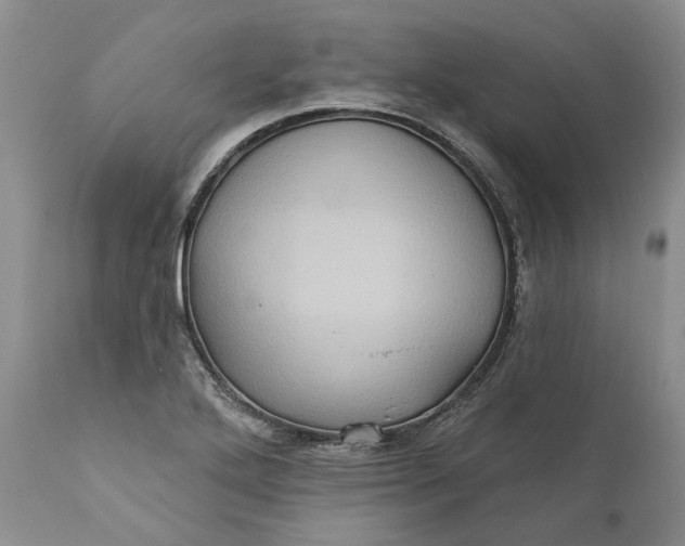 X0000112161272200908281355