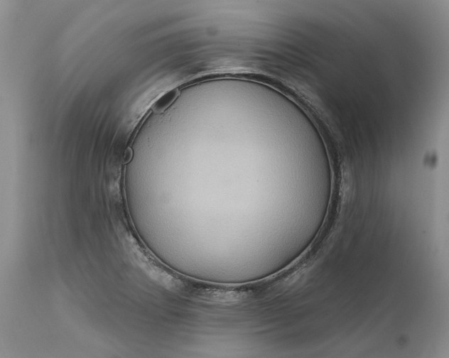 X0000112161273200908281355