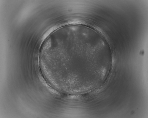 X0000112161274200908281355