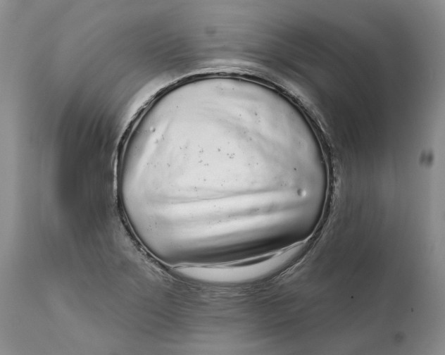 X0000112161275200908281355