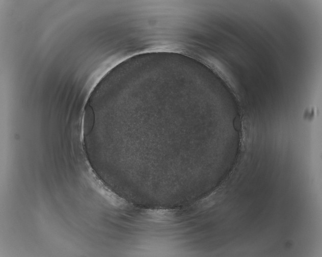 X0000112161276200908281355