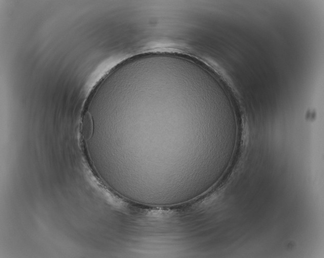 X0000112161277200908281355