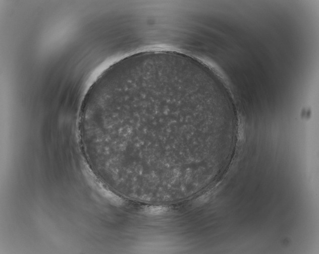 X0000112161278200908281355