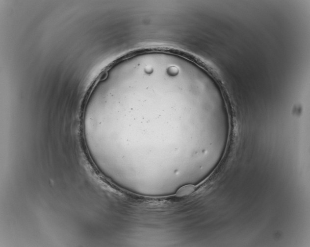 X0000112161279200908281355