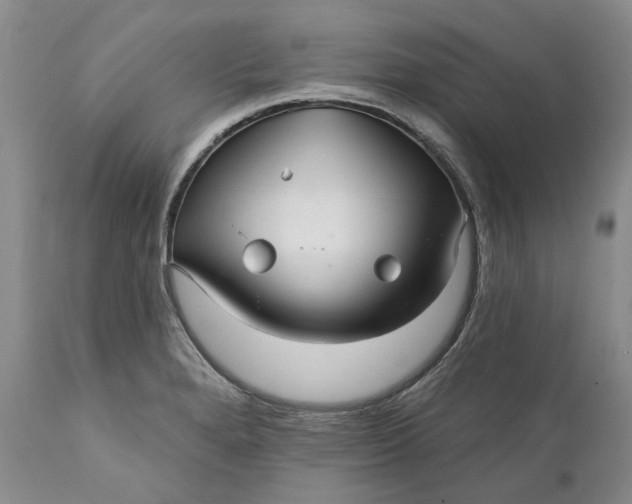 X0000112161280200908281355