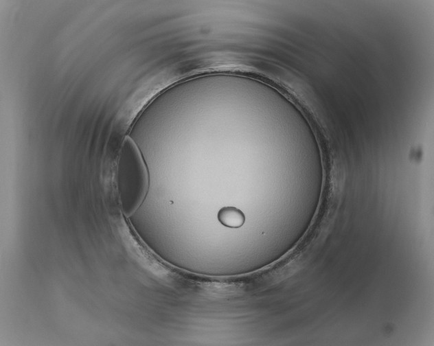 X0000112161281200908281355