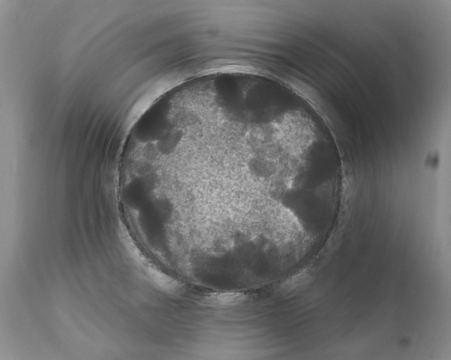 X0000112161282200908281355