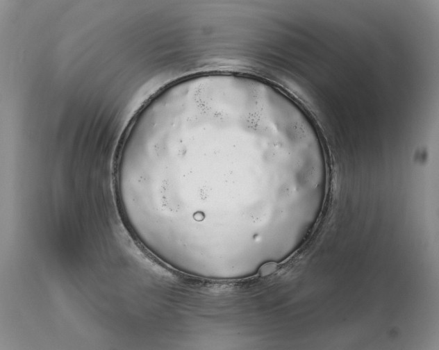 X0000112161283200908281355