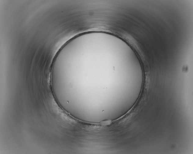 X0000112161284200908281355