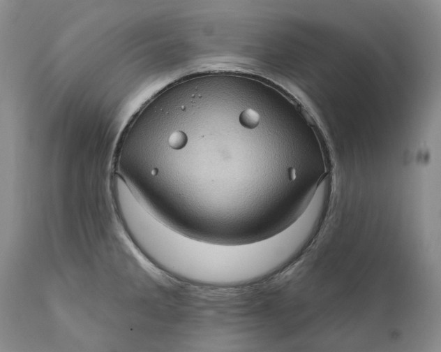 X0000112161285200908281355