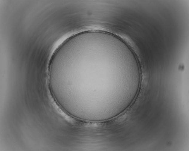 X0000112161286200908281355