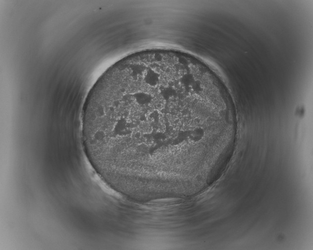 X0000112161287200908281355