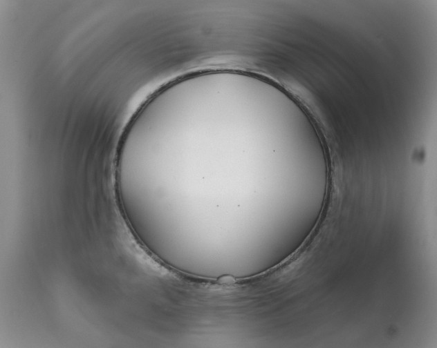 X0000112161288200908281355