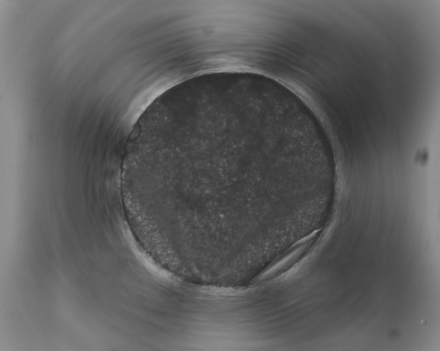 X0000112161289200908281355