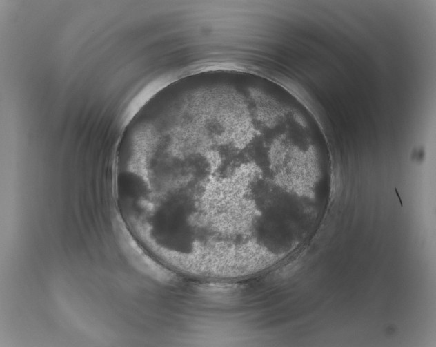 X0000112161290200908281355