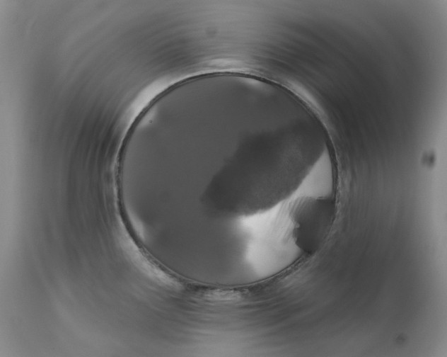 X0000112161291200908281355