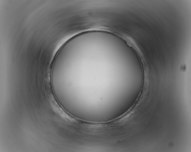 X0000112161292200908281355