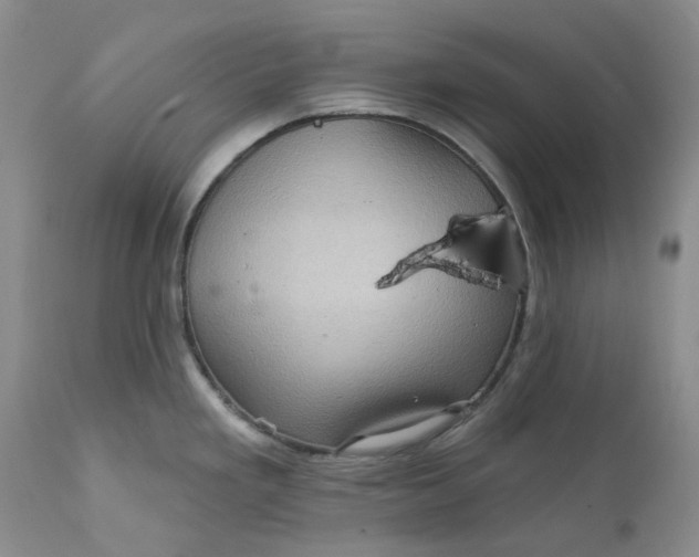 X0000112161293200908281355